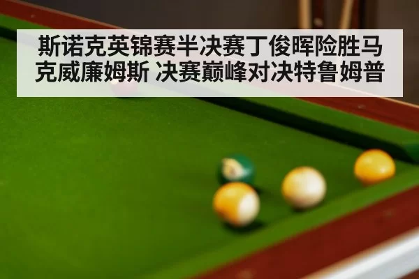 斯诺克英锦赛半决赛丁俊晖险胜马克威廉姆斯 决赛巅峰对决特鲁姆普