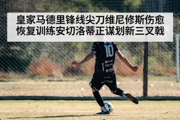 皇家马德里锋线尖刀维尼修斯伤愈恢复训练安切洛蒂正谋划新三叉戟